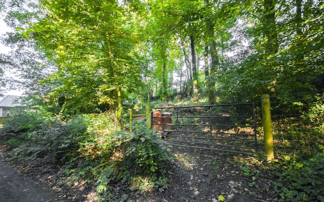 Edenwood Road, Ramsbottom, Bury